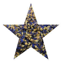 Load image into Gallery viewer, Witch's Apothecary Cornflowers