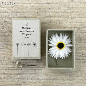 ***NEW***East of India Dried Flower Matchbox
