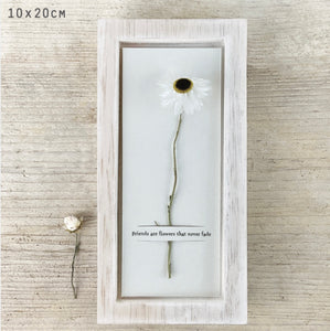 ***NEW*** East of India Dried Posy Pictures