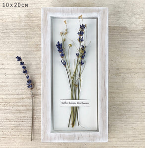 ***NEW*** East of India Dried Posy Pictures