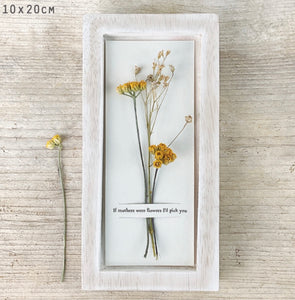 ***NEW*** East of India Dried Posy Pictures