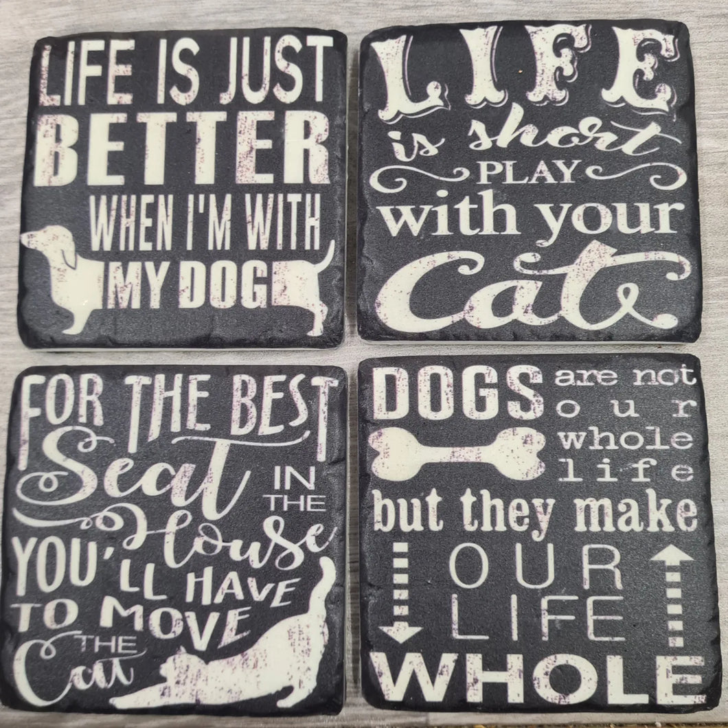 Cats & Dogs Coasters