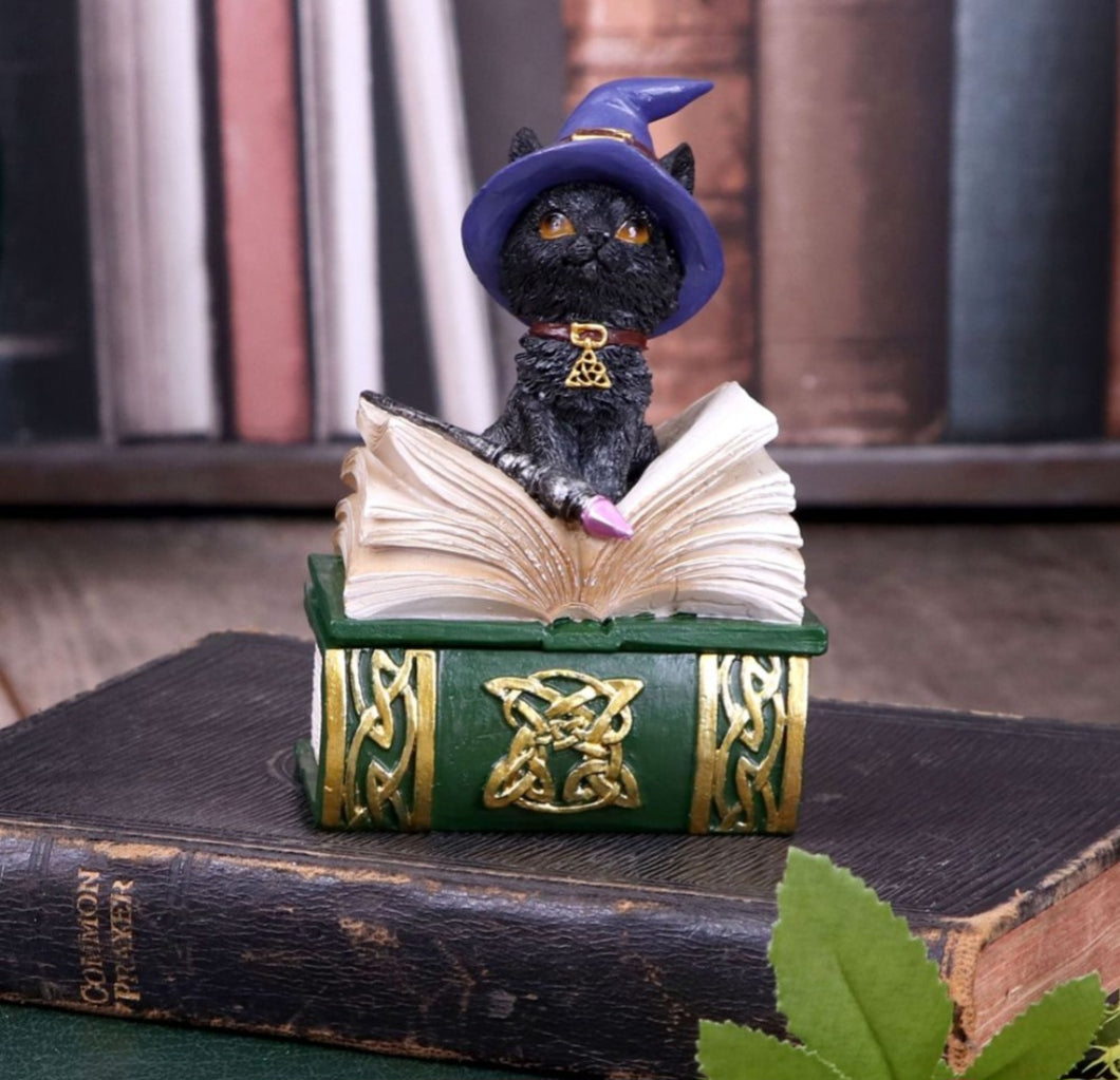 Cat Binx trinket box