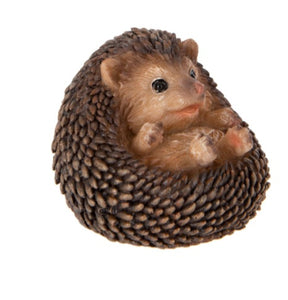 Baby hedgehog