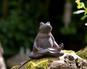 Zen frog