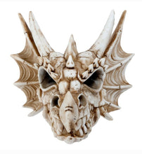 Load image into Gallery viewer, Shadows of Darkness Skull Wall Plaque

