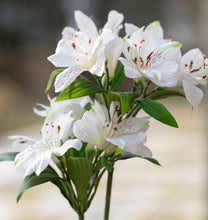 Load image into Gallery viewer, Faux lily White
