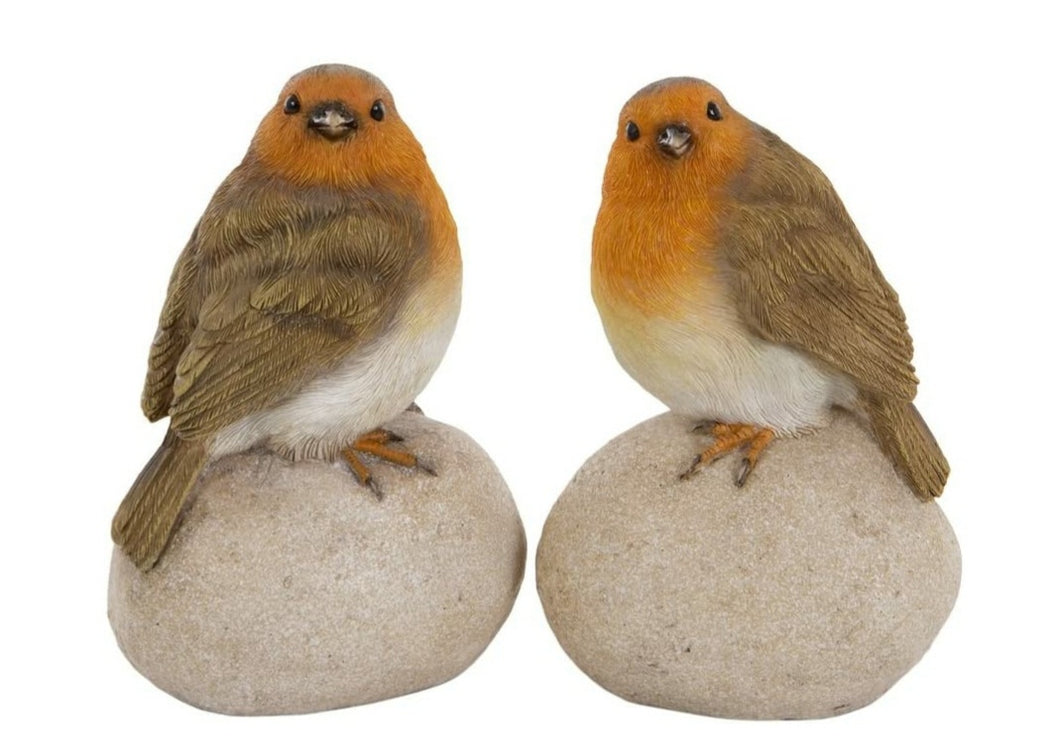 Set of two Robins on stones