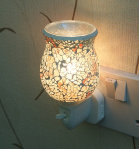 Aroma plug in