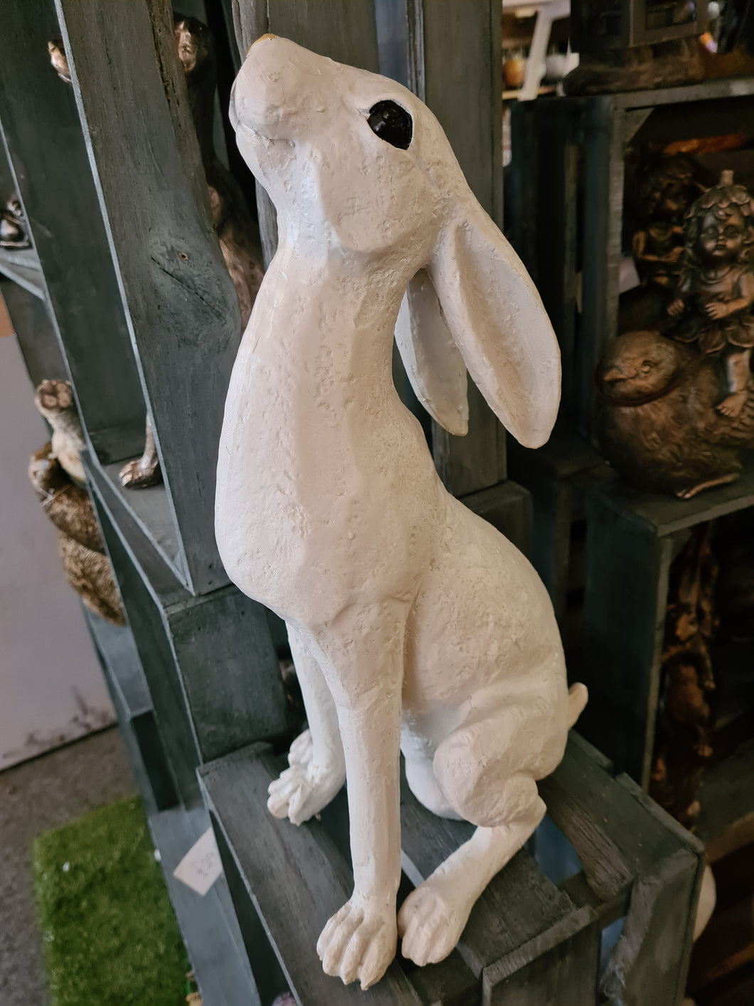 Hare Moongazing