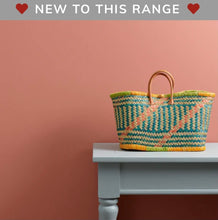 Load image into Gallery viewer, Frenchic Wall Paint Clay Pot
