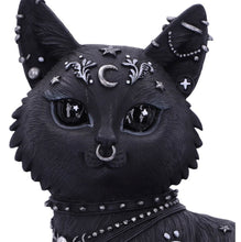 Load image into Gallery viewer, Cat Nine Lives
