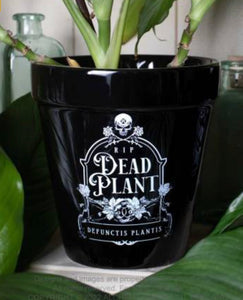 Alchemy Plant Pot