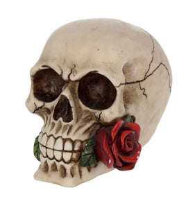 Rose from the Dead 15cm
