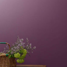 Load image into Gallery viewer, Frenchic Wall Paint Boujee
