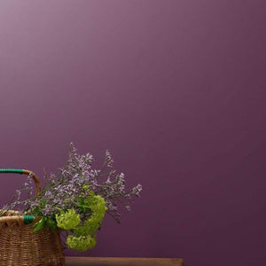 Frenchic Wall Paint Boujee