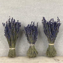 Load image into Gallery viewer, Dried Lavender
