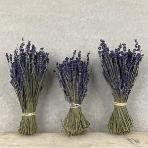 Dried Lavender