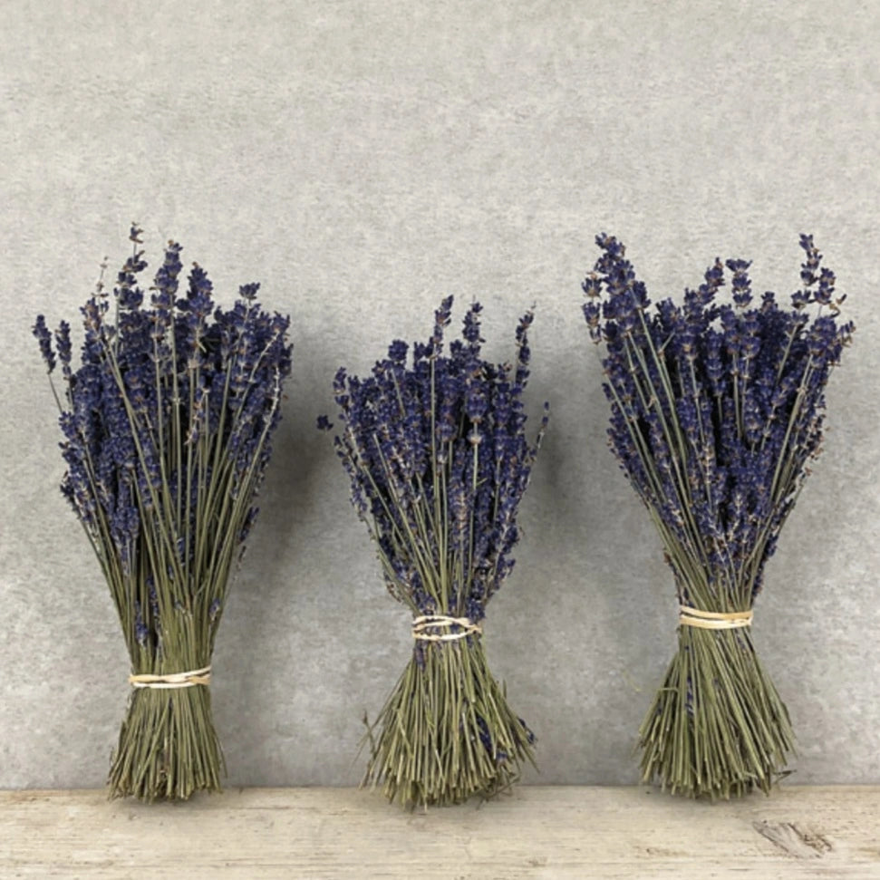 Dried Lavender