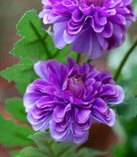 Load image into Gallery viewer, Chrysanthemum spray purple
