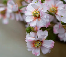 Load image into Gallery viewer, Daisy Spray pink
