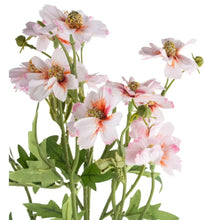 Load image into Gallery viewer, Daisy Spray pink
