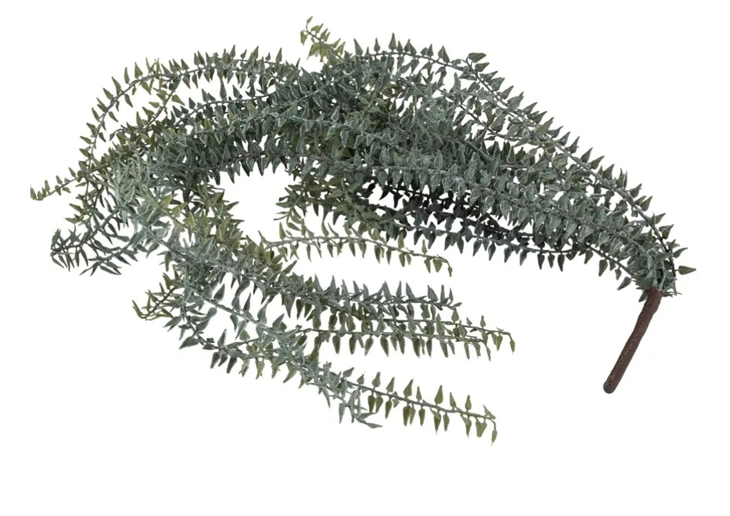 Trailing grass
