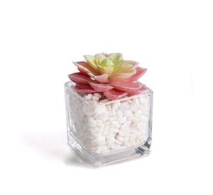 Faux succulent in glass jar