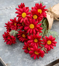 Load image into Gallery viewer, Transvaal Daisy Red
