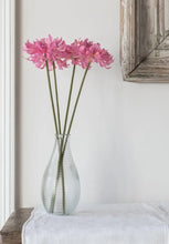 Load image into Gallery viewer, Chrysanthemum Pink
