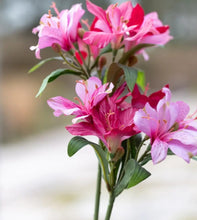 Load image into Gallery viewer, Lily spray Dark Pink
