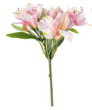 Load image into Gallery viewer, Lily spray Pink
