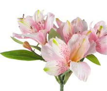 Load image into Gallery viewer, Lily spray Pink
