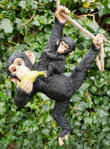 Monkey with baby and banana