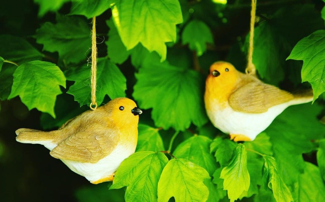 Robin hanging decorations