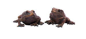 Set of 2 Frogs