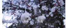 Load image into Gallery viewer, Hanging Minty Lamb felt hanging decoration
