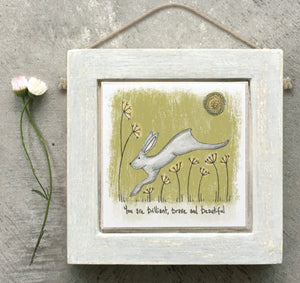 Square Hare Pic