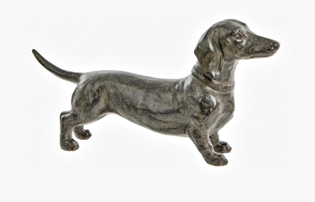 Dachshund