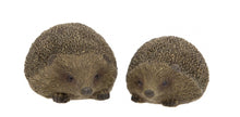 Load image into Gallery viewer, Hedgehogs Set of 2
