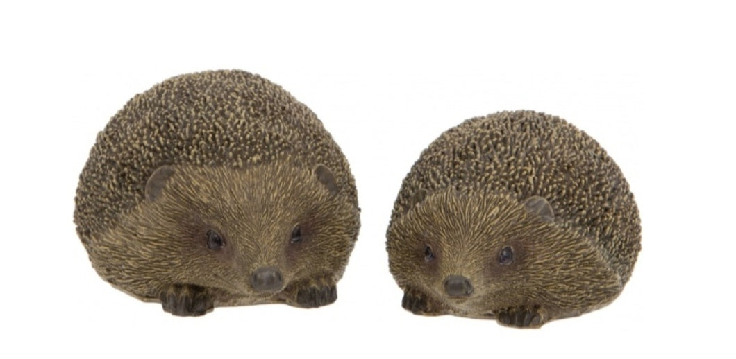 Hedgehogs Set of 2