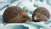 Load image into Gallery viewer, Hedgehogs Set of 2
