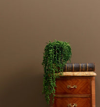 Load image into Gallery viewer, Frenchic Wall Paint Drama Llama
