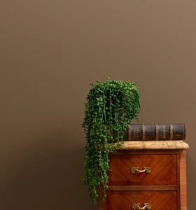 Frenchic Wall Paint Drama Llama
