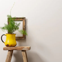 Load image into Gallery viewer, Frenchic Wall Paint Dream Catcher
