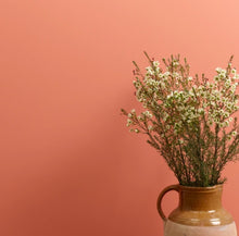 Load image into Gallery viewer, Frenchic Wall Paint Earthy
