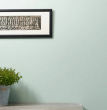 Load image into Gallery viewer, Frenchic Wall Paint Little Duckle
