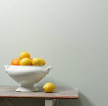 Load image into Gallery viewer, Frenchic Wall Paint Maverick
