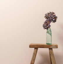 Load image into Gallery viewer, Frenchic Wall Paint Sweetcheeks
