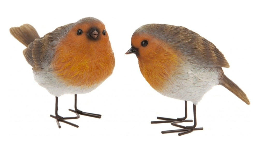 Set of two Robins standing